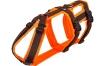 AnnyX-Geschirr-Safety-Fun-orange-braun