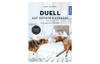 Duell_auf_offener-Straße