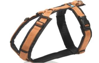 AnnyX Geschirr FUN braun/bernstein