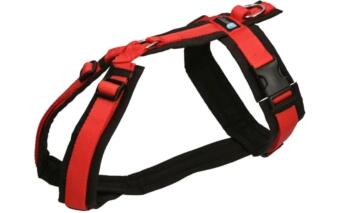 AnnyX Geschirr FUN schwarz/rot
