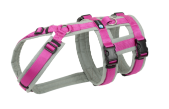 AnnyX Geschirr SAFETY FUN grau/pink